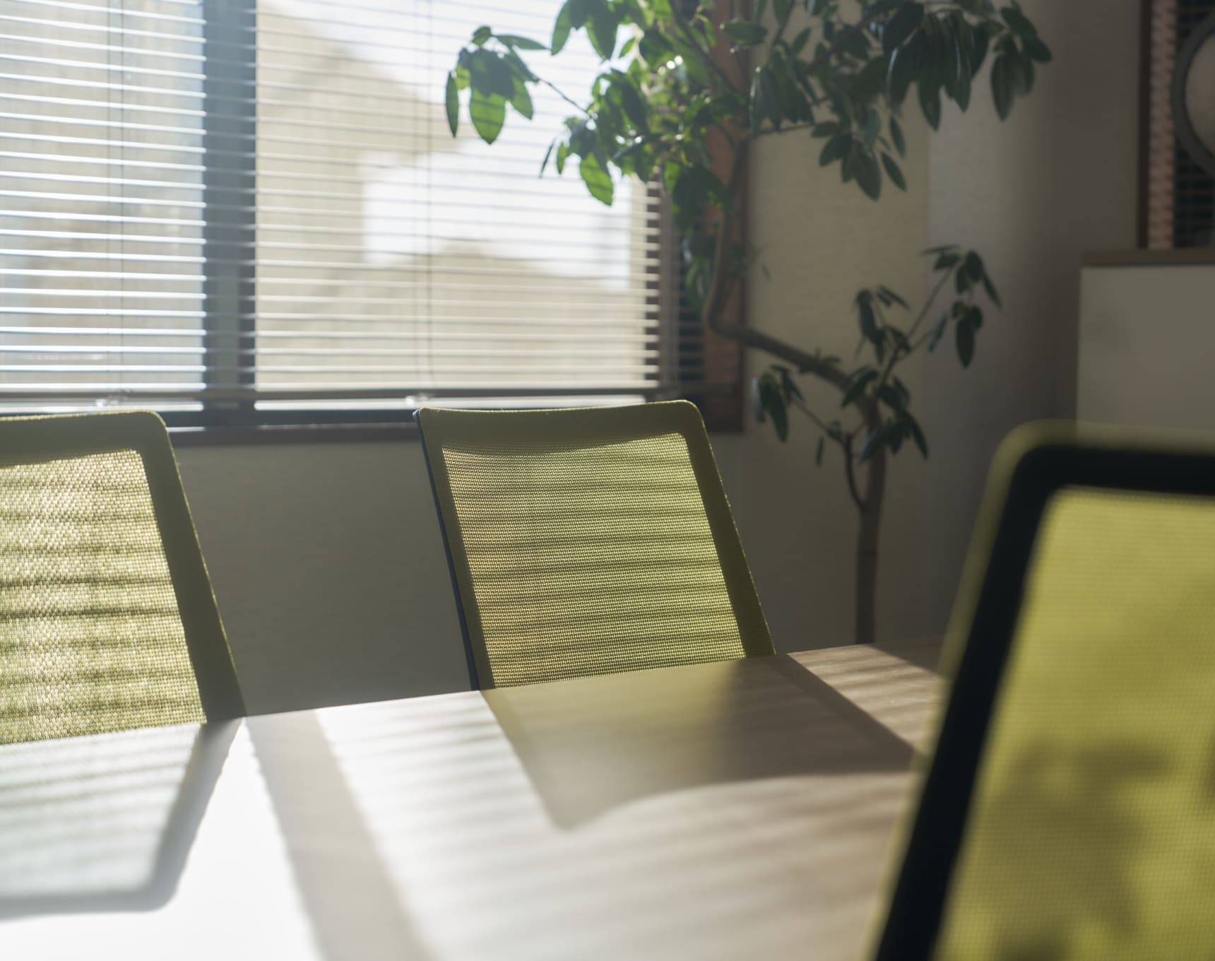 プライバシーポリシー